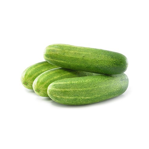 Cucumber seeds (Hybrid)